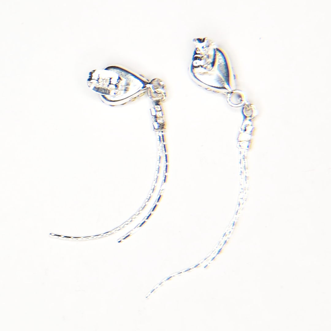 silver earrings