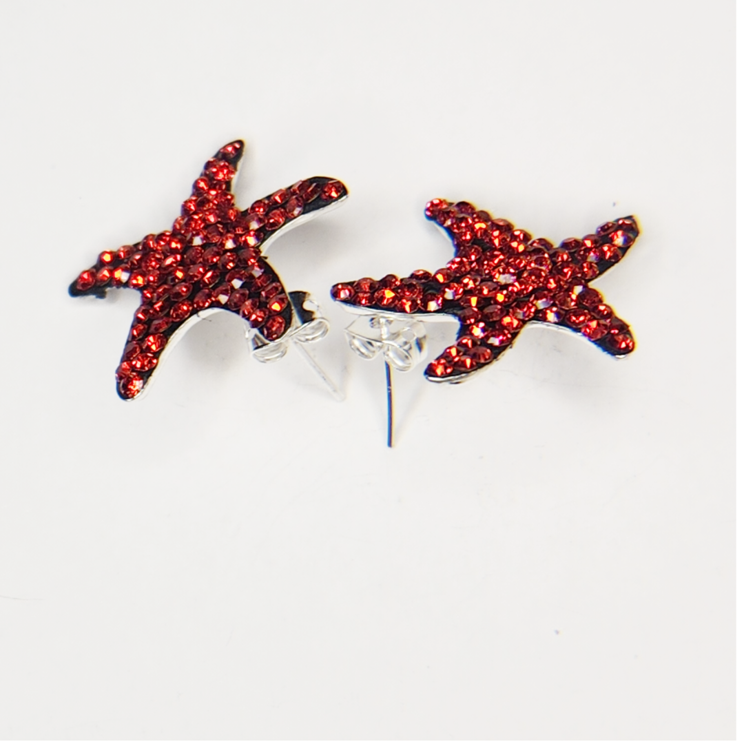 silver earrings
